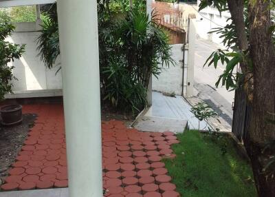 Yard with greenery and walkway