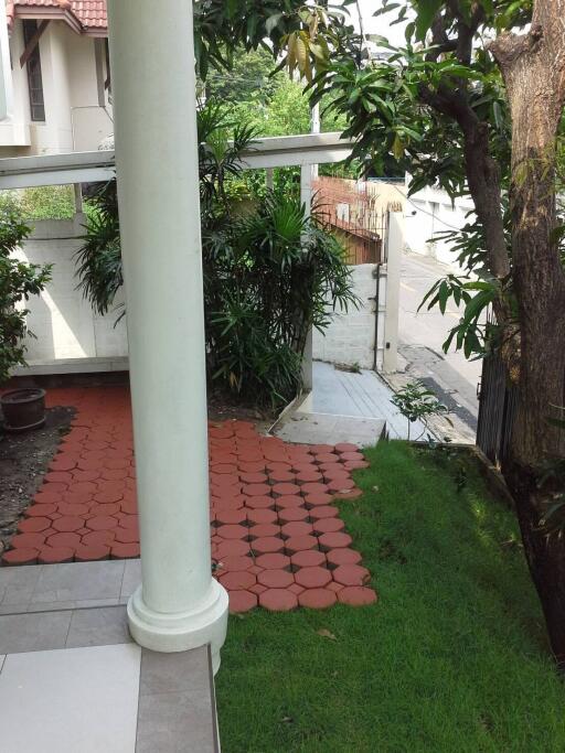 Yard with greenery and walkway