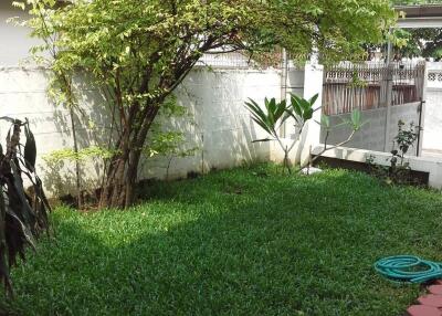 Backyard with lawn and tree