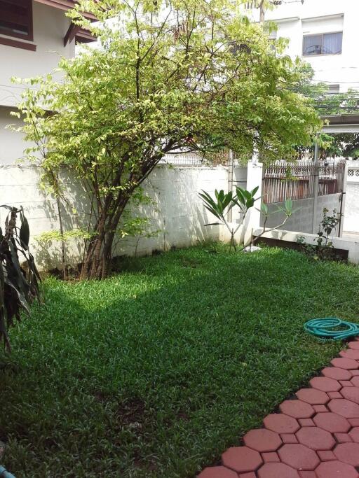 Backyard with lawn and tree