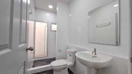 Modern white bathroom with sink, toilet, and shower