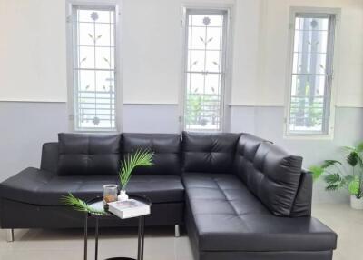 Living room with black sectional sofa and plants