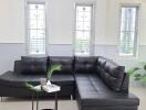 Living room with black sectional sofa and plants