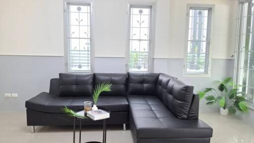 Living room with black sectional sofa and plants