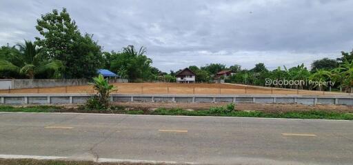 Beautiful land plot, 1 rai 79 square wah, located in Doi Saket area near Kwan Market.