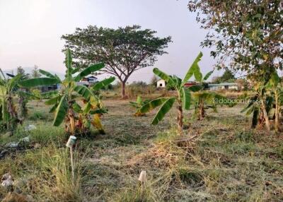 Beautiful plot of land, 2 rai, Hang Dong zone, near Kad San Phak Wan.