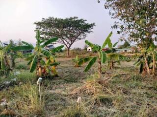 Beautiful plot of land, 2 rai, Hang Dong zone, near Kad San Phak Wan.