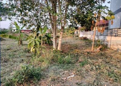 Beautiful plot of land, 2 rai, Hang Dong zone, near Kad San Phak Wan.