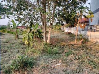 Beautiful plot of land, 2 rai, Hang Dong zone, near Kad San Phak Wan.