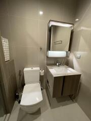 Modern bathroom with toilet and sink