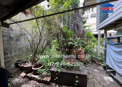 Backyard garden with plants and potted flowers