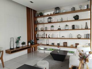 Modern living room with decorative shelving