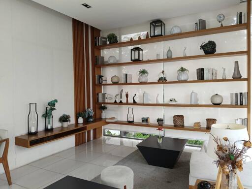 Modern living room with decorative shelving