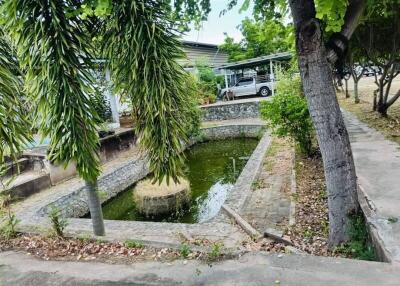 Photo of a small pond with surrounding trees and a parked car in the background