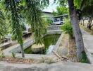 Photo of a small pond with surrounding trees and a parked car in the background