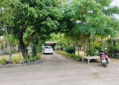 Driveway with car and motorbike under large trees