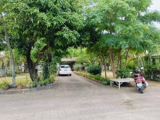 Driveway with car and motorbike under large trees