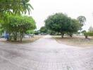 Spacious outdoor area with trees and paved driveway