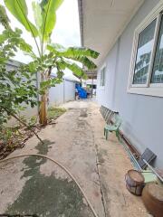 Narrow concrete walkway beside a house with plants and utility items