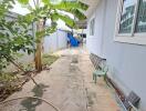 Narrow concrete walkway beside a house with plants and utility items