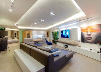 Modern main living area with open kitchen and contemporary design