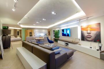 Modern main living area with open kitchen and contemporary design