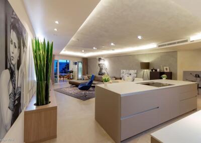 Modern living area with kitchen island and contemporary decor