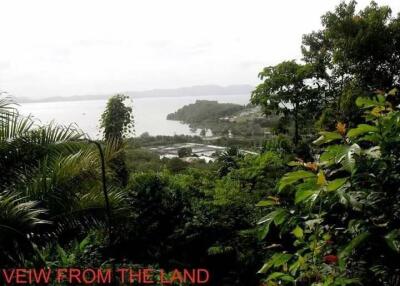 View from the land overlooking greenery and a body of water