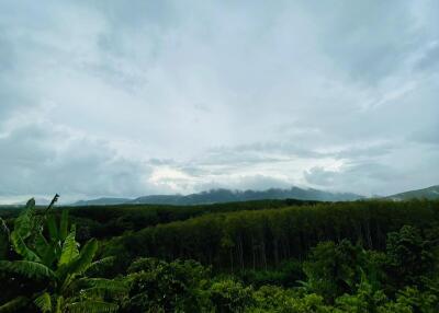 Scenic view of lush greenery and distant mountains