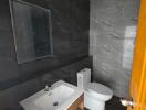 Modern bathroom with sink, mirror, toilet, and contemporary tiling