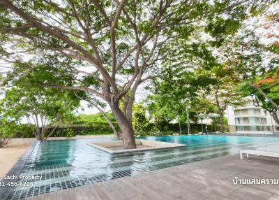 Outdoor area with swimming pool and large trees