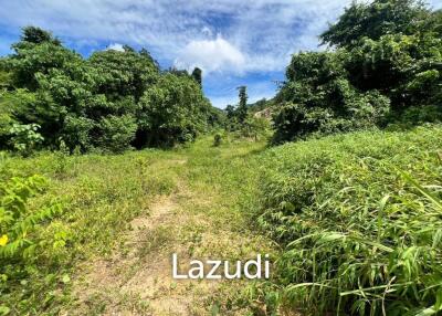 Secluded Land with Lush Greenery in Maret Ko Samui