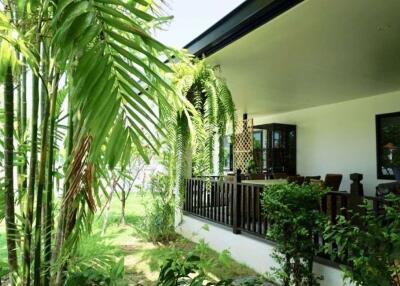 3 bed house for rent or sale in Hang Dong Chiang Mai