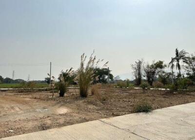 Beautiful land plot of 114 square wah in the San Sai area, near HomePro San Sai