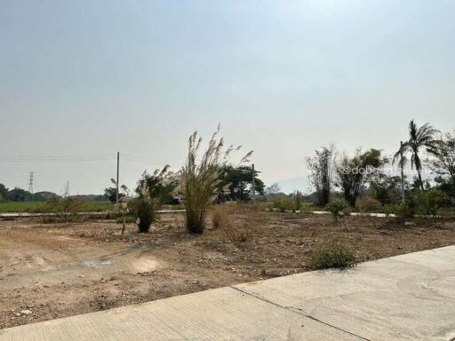 Beautiful land plot of 114 square wah in the San Sai area, near HomePro San Sai