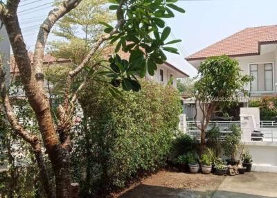 A single-story house with 3 bedrooms and 2 bathrooms, located in the Hang Dong area, near Kad Farang.