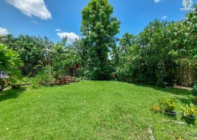 Green garden with various plants and trees on a sunny day