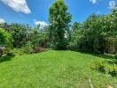 Green garden with various plants and trees on a sunny day