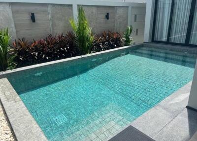 Outdoor swimming pool with plant decor and privacy wall