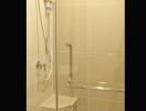 Modern shower area with glass door and amenities