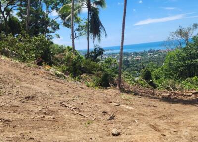 Cleared land with ocean view