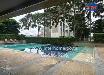 Swimming pool area with lounge chairs