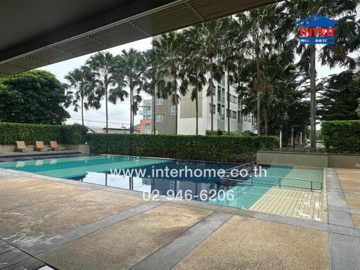 Swimming pool area with lounge chairs