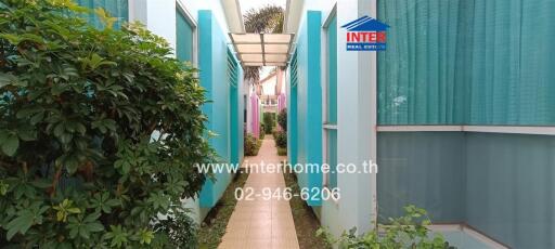 Pathway between blue buildings with greenery