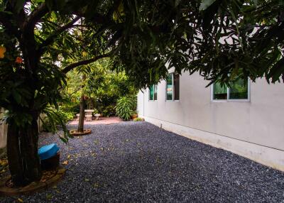 Backyard garden with trees and gravel path