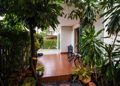 Outdoor patio area with greenery