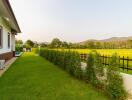 View of the lawn and garden next to the property