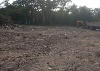 Vacant plot of land with trees and construction equipment