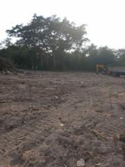 Vacant plot of land with trees and construction equipment