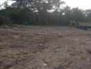 Vacant plot of land with trees and construction equipment